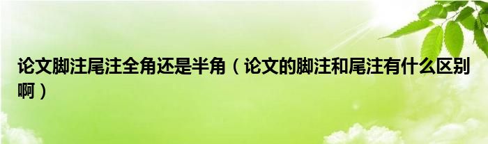 论文脚注尾注全角还是半角（论文的脚注和尾注有什么区别啊）