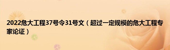 2022危大工程37号令31号文（超过一定规模的危大工程专家论证）