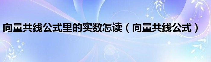 向量共线公式里的实数怎读（向量共线公式）