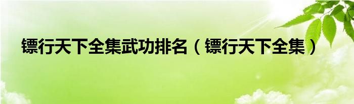 镖行天下全集武功排名（镖行天下全集）