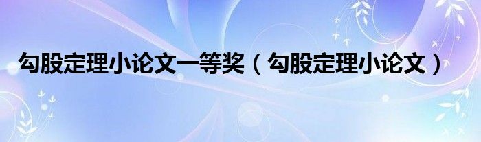 勾股定理小论文一等奖（勾股定理小论文）