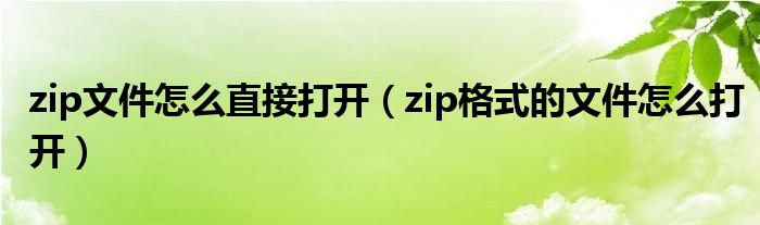 zip文件怎么直接打开（zip格式的文件怎么打开）