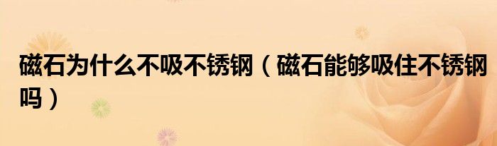 磁石为什么不吸不锈钢（磁石能够吸住不锈钢吗）