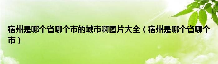 宿州是哪个省哪个市的城市啊图片大全（宿州是哪个省哪个市）