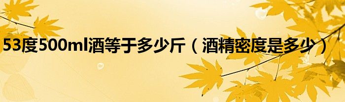 53度500ml酒等于多少斤（酒精密度是多少）