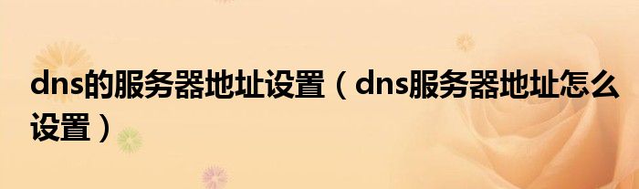 dns的服务器地址设置（dns服务器地址怎么设置）