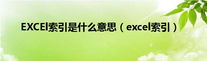 EXCEl索引是什么意思（excel索引）