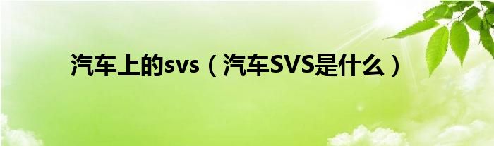 汽车上的svs（汽车SVS是什么）