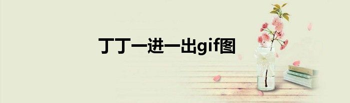 丁丁一进一出gif图