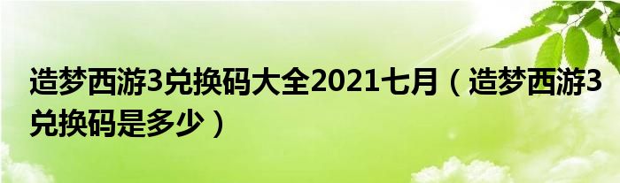 造梦西游3兑换码大全2021七月（造梦西游3兑换码是多少）