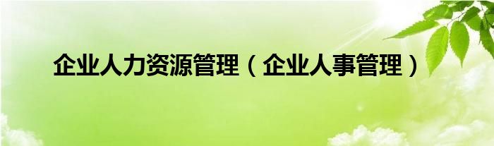 企业人力资源管理（企业人事管理）