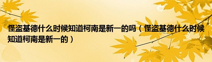 怪盗基德什么时候知道柯南是新一的吗（怪盗基德什么时候知道柯南是新一的）