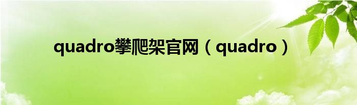 quadro攀爬架官网（quadro）