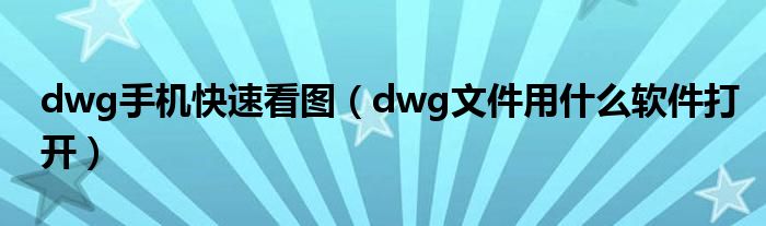 dwg手机快速看图（dwg文件用什么软件打开）