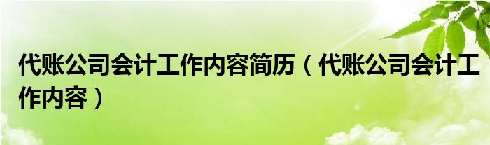 代账公司会计工作内容简历（代账公司会计工作内容）