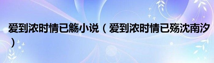 爱到浓时情已觞小说（爱到浓时情已殇沈南汐）