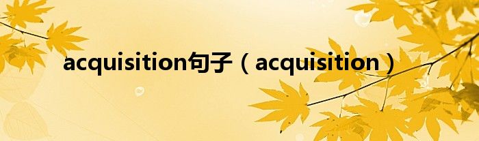 acquisition句子（acquisition）