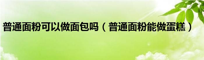 普通面粉可以做面包吗（普通面粉能做蛋糕）