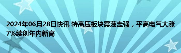 2024年06月28日快讯 特高压板块震荡走强，平高电气大涨7%续创年内新高