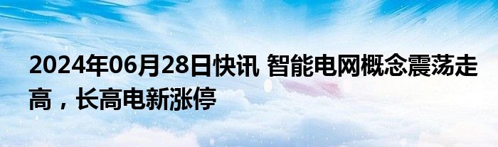 2024年06月28日快讯 智能电网概念震荡走高，长高电新涨停