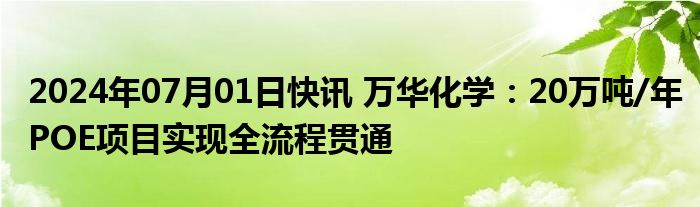 2024年07月01日快讯 万华化学：20万吨/年POE项目实现全流程贯通