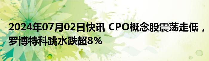 2024年07月02日快讯 CPO概念股震荡走低，罗博特科跳水跌超8%