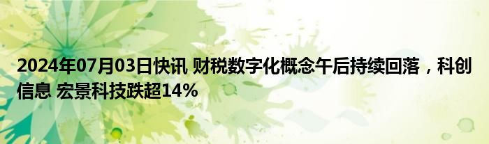 2024年07月03日快讯 财税数字化概念午后持续回落，科创信息 宏景科技跌超14%