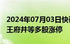 2024年07月03日快讯 免税概念股持续走高，王府井等多股涨停