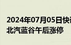 2024年07月05日快讯 汽车整车股震荡拉升，北汽蓝谷午后涨停