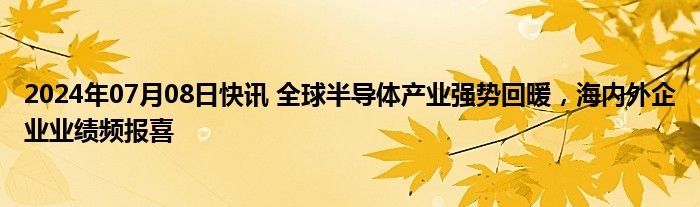 2024年07月08日快讯 全球半导体产业强势回暖，海内外企业业绩频报喜