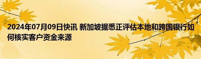 2024年07月09日快讯 新加坡据悉正评估本地和跨国银行如何核实客户资金来源