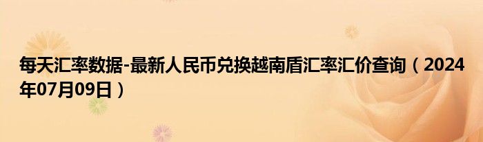 每天汇率数据-最新人民币兑换越南盾汇率汇价查询（2024年07月09日）