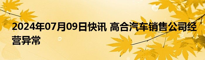 2024年07月09日快讯 高合汽车销售公司经营异常