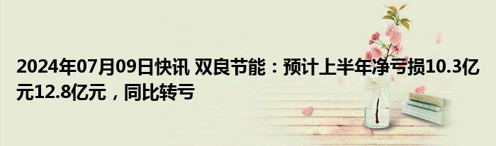 2024年07月09日快讯 双良节能：预计上半年净亏损10.3亿元12.8亿元，同比转亏