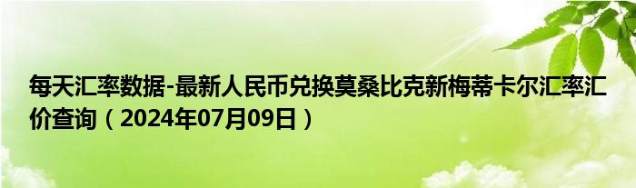 每天汇率数据-最新人民币兑换莫桑比克新梅蒂卡尔汇率汇价查询（2024年07月09日）