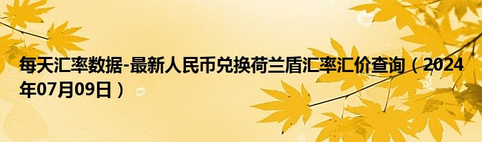 每天汇率数据-最新人民币兑换荷兰盾汇率汇价查询（2024年07月09日）