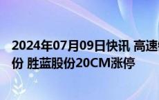 2024年07月09日快讯 高速铜连接概念股午前拉升，神宇股份 胜蓝股份20CM涨停