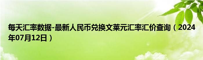 每天汇率数据-最新人民币兑换文莱元汇率汇价查询（2024年07月12日）