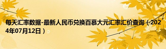 每天汇率数据-最新人民币兑换百慕大元汇率汇价查询（2024年07月12日）