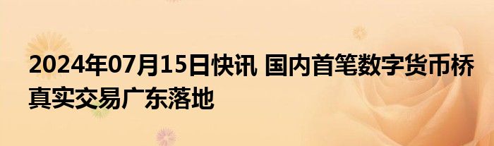 2024年07月15日快讯 国内首笔数字货币桥真实交易广东落地