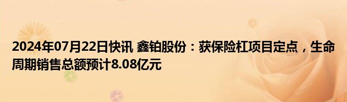 2024年07月22日快讯 鑫铂股份：获保险杠项目定点，生命周期销售总额预计8.08亿元