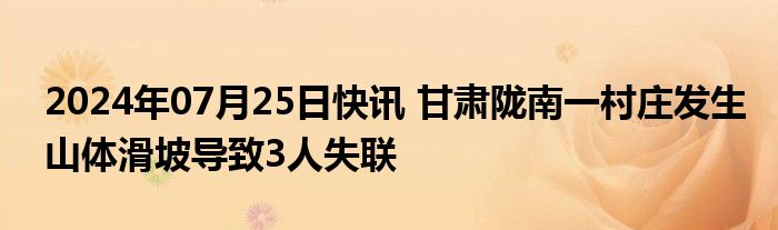 2024年07月25日快讯 甘肃陇南一村庄发生山体滑坡导致3人失联