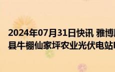 2024年07月31日快讯 雅博股份：子公司中标2.46亿元威宁县牛棚仙家坪农业光伏电站EPC总承包