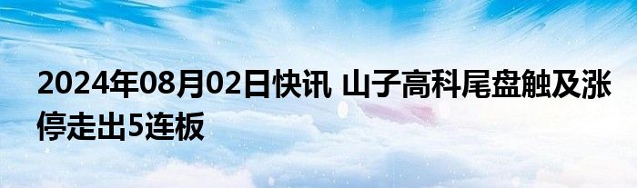 2024年08月02日快讯 山子高科尾盘触及涨停走出5连板