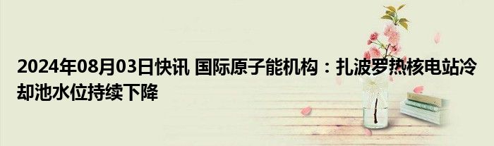 2024年08月03日快讯 国际原子能机构：扎波罗热核电站冷却池水位持续下降