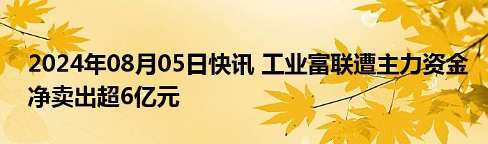 2024年08月05日快讯 工业富联遭主力资金净卖出超6亿元