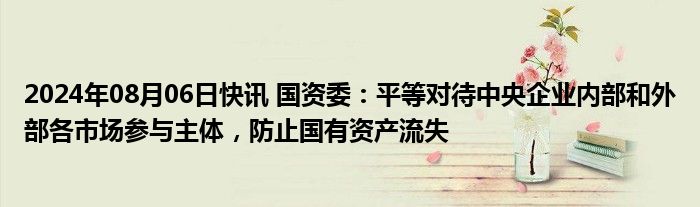 2024年08月06日快讯 国资委：平等对待中央企业内部和外部各市场参与主体，防止国有资产流失