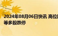 2024年08月06日快讯 高位股集体跳水，锦江在线 大众交通等多股跌停