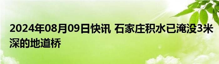 2024年08月09日快讯 石家庄积水已淹没3米深的地道桥