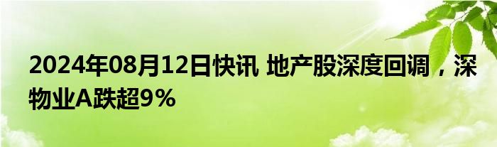 2024年08月12日快讯 地产股深度回调，深物业A跌超9%